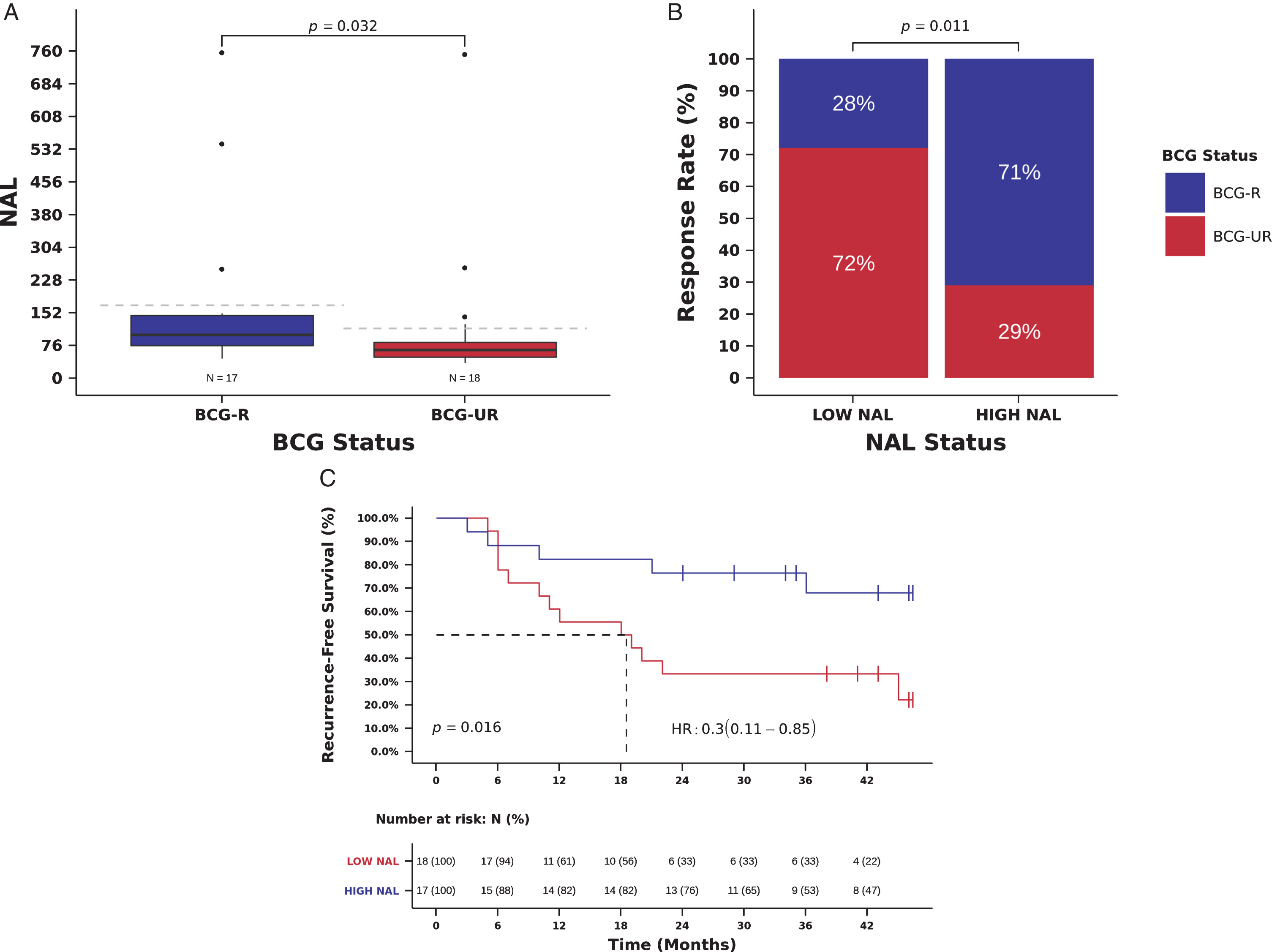 NAL and benefit from BCG immunotherapy. (A) NAL in tumors from patients responsive (BCG-R) and unresponsive (BCG-UR) to BCG immunotherapy (NAL BCG-R=100.0 vs. BCG-UR=65, mutations/Mb, Mann-Whitney P = 0.032) (B) BCG response rate in patients harboring tumors with high NAL (HIGH-NAL) compared to tumors with low NAL (LOW-NAL) (RR HIGH-NAL=71% vs. LOW-NAL=28%, Odds Ratio (OR)=6.24, 95% CI: 1.44-27.06, Pearson Chi-Square P = 0.011) (C) Kaplan-Meier curve for recurrence-free survival after BCG immunotherapy for patients harboring tumors with HIGH-NAL compared to tumors with LOW-NAL. (RFS HIGH-NAL=36 vs. LOW-NAL=18.5 months, Hazard Ratio (HR)=0.30, 95% CI: 0.11- 0.85, Log-rank P = 0.017).