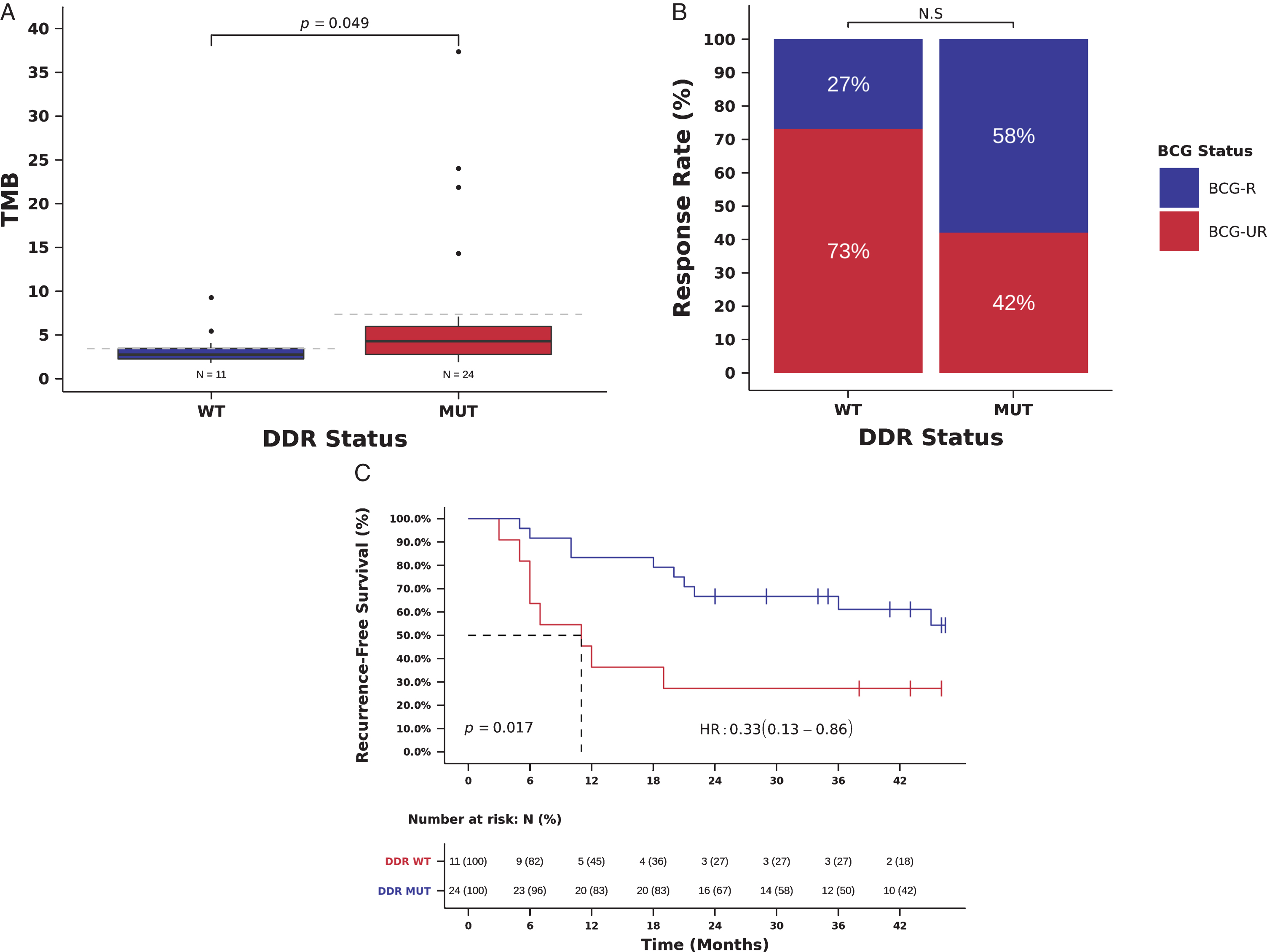 Mutations in DDR genes (193 gene list) and benefit from BCG immunotherapy. (A) TMB in tumors with deleterious mutations in DDR genes (DDR-MUT) compared to tumors with wild-type DDR genes (DDR-WT). (TMB DDR-MUT=4.3 vs. DDR-WT=2.7 mutations/Mb, Mann-Whitney P = 0.049). (B) BCG response rate in patients harboring tumors with deleterious mutations in DDR genes (DDR-MUT) compared to tumors with wild-type DDR genes (DDR-WT). (RR DDR-MUT=58% vs. DDR-WT=27%, OR = 3.73, 95%, CI: 0.79-17.68, Pearson Chi-Square P = 0.088) (C) Kaplan-Meier curve for recurrence-free survival after BCG immunotherapy for patients harboring tumors with deleterious mutations in DDR genes (DDR-MUT) compared to tumors with wild-type DDR genes (DDR-WT). (RFS DDR-MUT=35.5 vs. DDR-WT=11.0 months, HR = 0.33, 95% CI: 0.13-0.86, Log-rank P = 0.017).