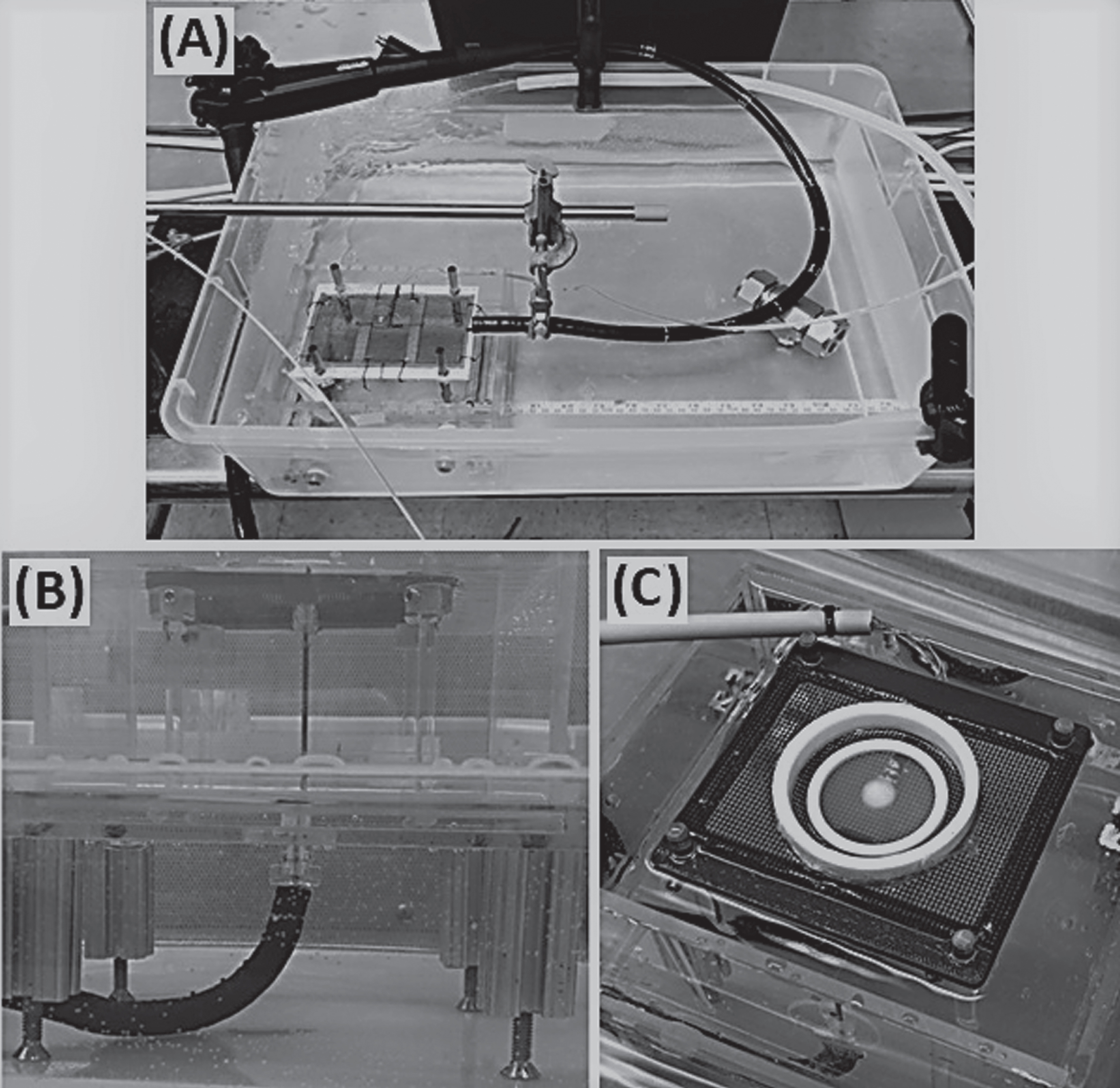Images of the In Vitro TEM Freeze Experimental Setup. The test set up consisted of an endoscope and an acrylic box containing the TEM platform submerged in a 37°C water bath (A). The cryocatheter was inserted through the scope and the distal end was passed through a sealable gasket on the bottom of the TEM box and placed perpendicular to a mesh platform holding the TEM (B). The SCaBER and UMUC3-TEMs were then placed on the mesh platform, centered over the cryocatheter, and the acrylic box was filled with 37°C Milli-Q grade water to a level even with the TEM ring/probe interface (C).