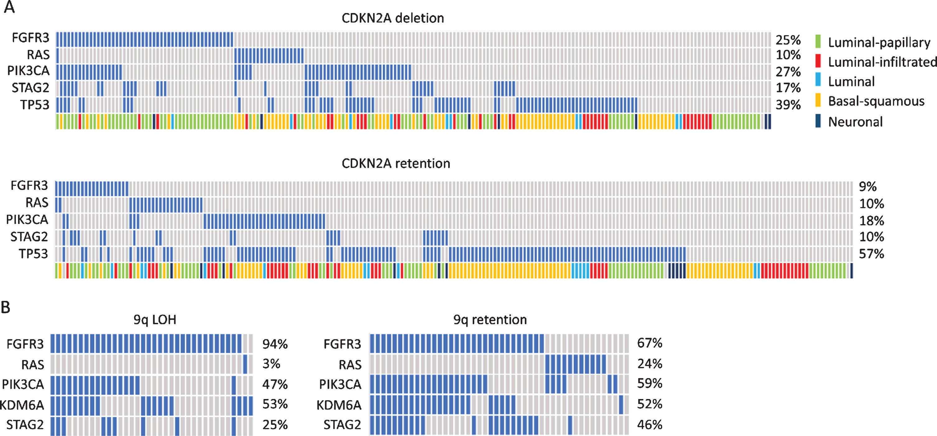 Oncoplots showing distribution of common mutations according to chromosome 9 status. A. Oncoplot for selected genes in muscle-invasive bladder tumours with and without deletion of the CDKN2A locus. Data from [30]. B. Oncoplot for selected genes in stage Ta tumors with and without 9q loss. Data from [165].