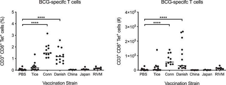BCG Connaught and Danish induce robust T cell priming in vaccinated mice. Six week old tumor-free female C57BL/6 mice were vaccinated subcutaneously with PBS or 3×106 CFU of BCG substrains Tice, Connaught, Danish, China, Japan or RIVM (Medac). BCG-specific CD8+ splenic T cells were identified by flow cytometry using Db-Mtb32 tetramers 15 days post-vaccination. Graphs depict the percentage and number of BCG-specific CD8+ T cells in mice vaccinated with each strain. Each dot represents one mouse, lines are medians. Data are pooled from three independent experiments. ****p < 0.0001, Kruskal-Wallis test comparing each strain to the PBS control group with Dunn’s post-test to correct for multiple comparisons.