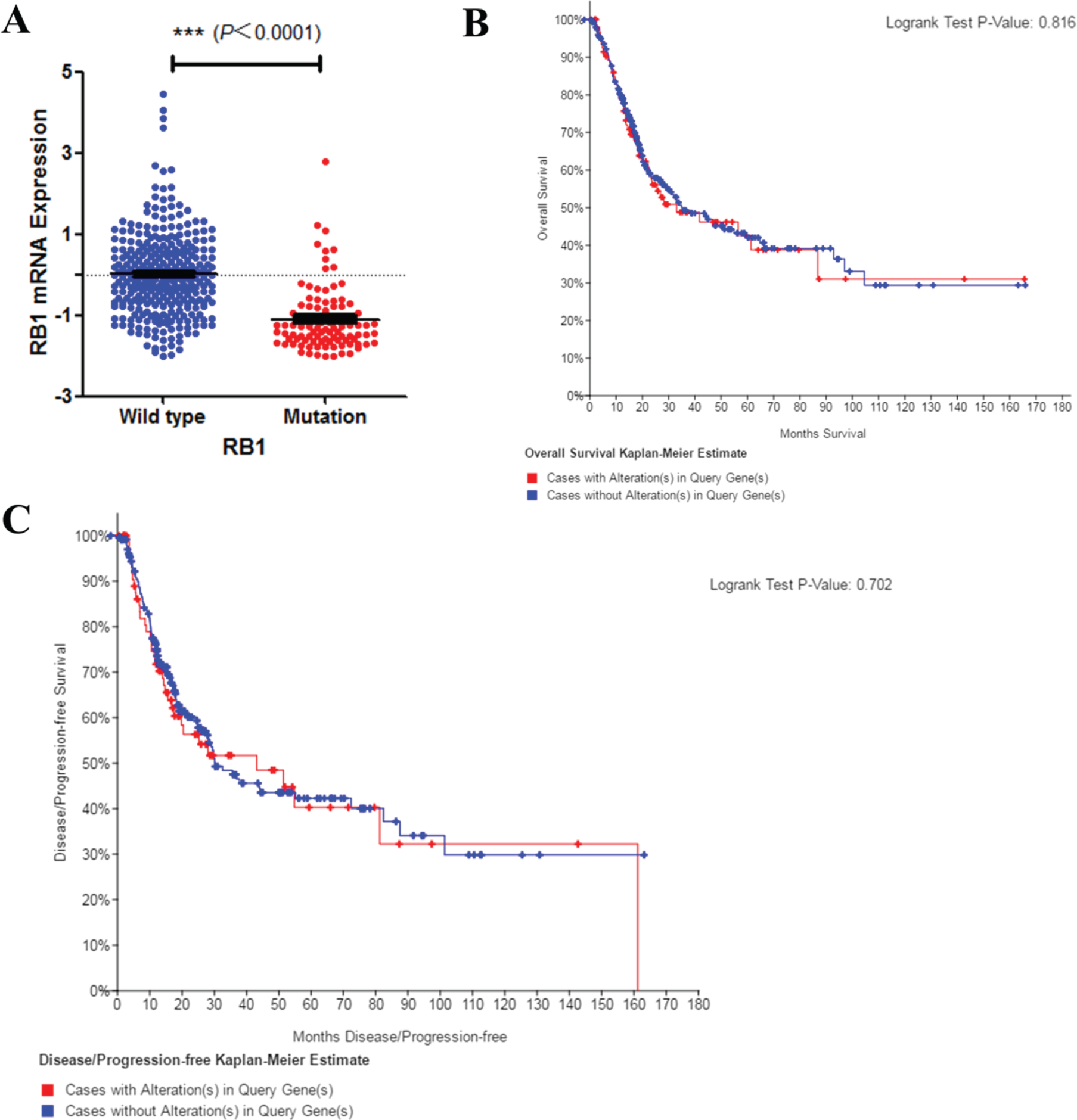 Mutation of RB1 and bladder cancer prognosis. A. Correlation between RB1 mutation and mRNA expression. B. C. Kaplan–Meier survival and disease recurrence curves for bladder cancer patients stratified by RB1 mutation.