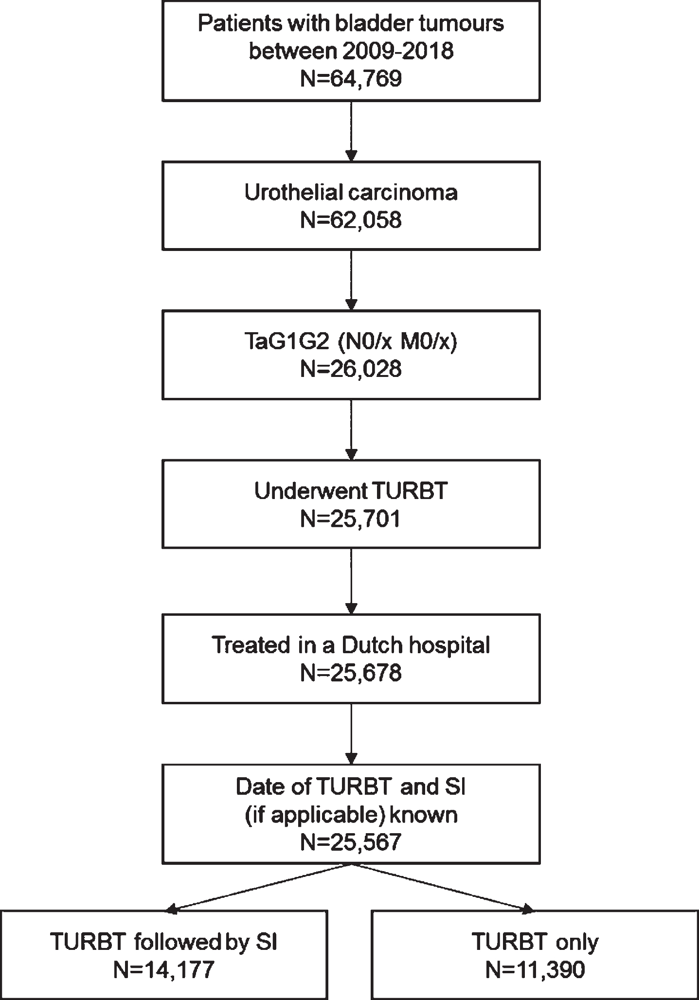 Flowchart describing the inclusion of patients in the study cohort TURBT: Transurethral Resection of the Bladder Tumour; SI: Single Instillation.