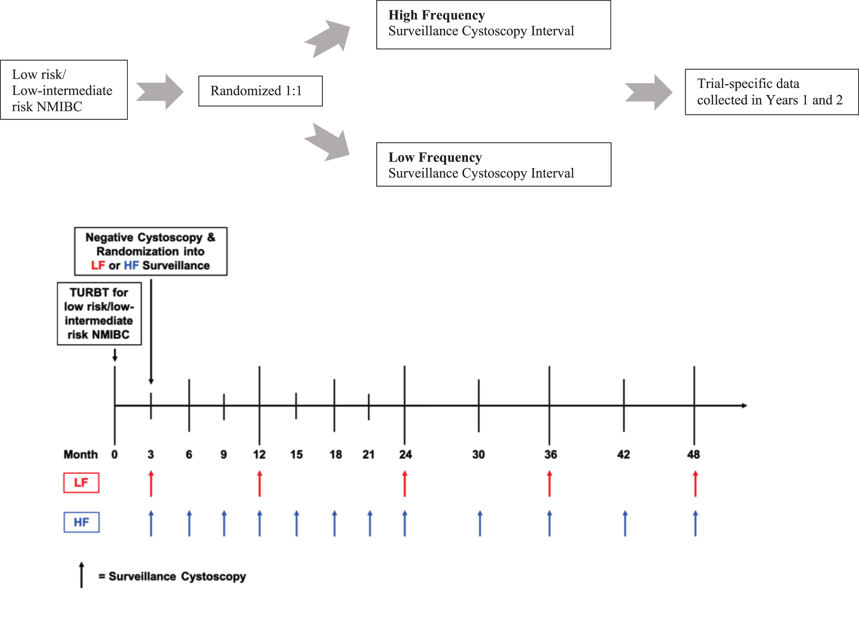 Trial schema and timeline of surveillance cystoscopies across low and high frequency surveillance groups.