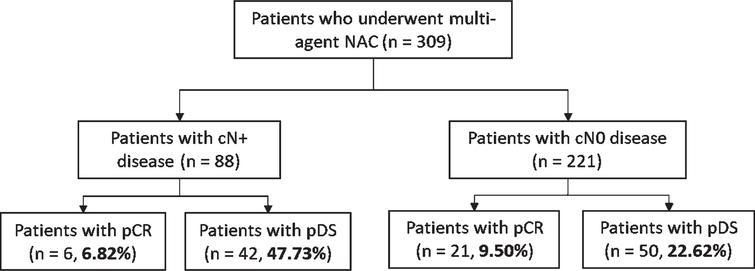 Pathological complete response and pathological downstaging rates for node-positive and node-negative subgroups. NAC: neoadjuvant chemotherapy; cN+: clinical node-positive; cN0: clinical node-negative; pCR: pathologic complete response; pDS: pathologic downstaging.