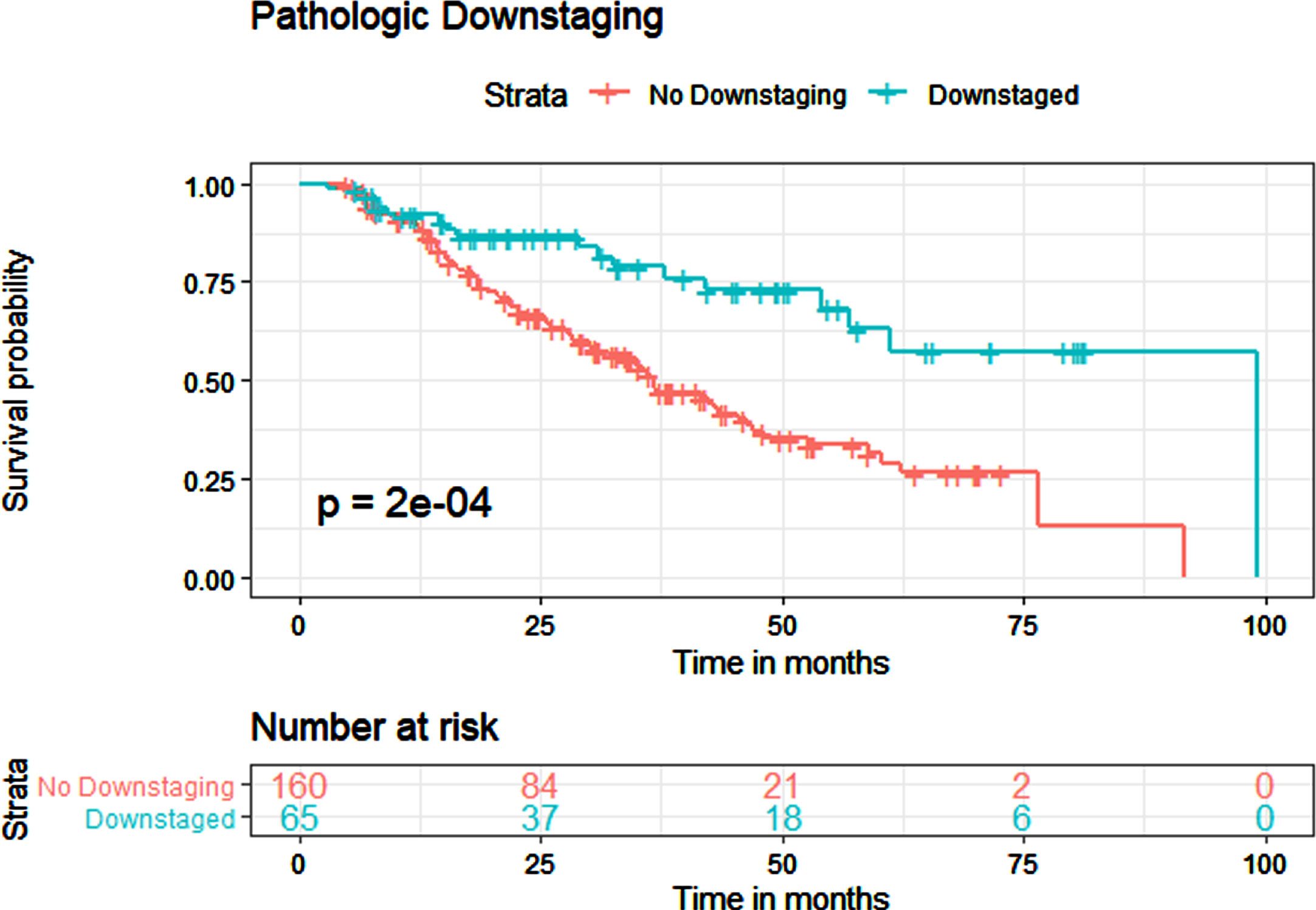 Kaplan-Meier estimates for overall survival in patients who received NAC, with and without pathological downstaging.