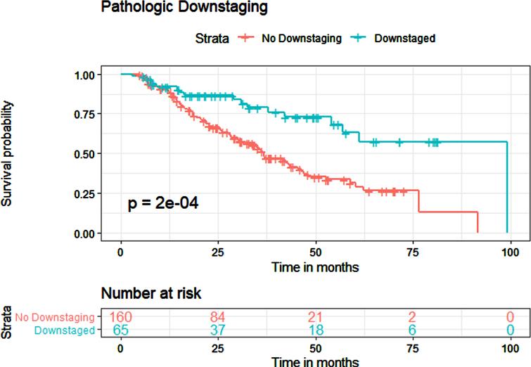 Kaplan-Meier estimates for overall survival in patients who received NAC, with and without pathological downstaging.