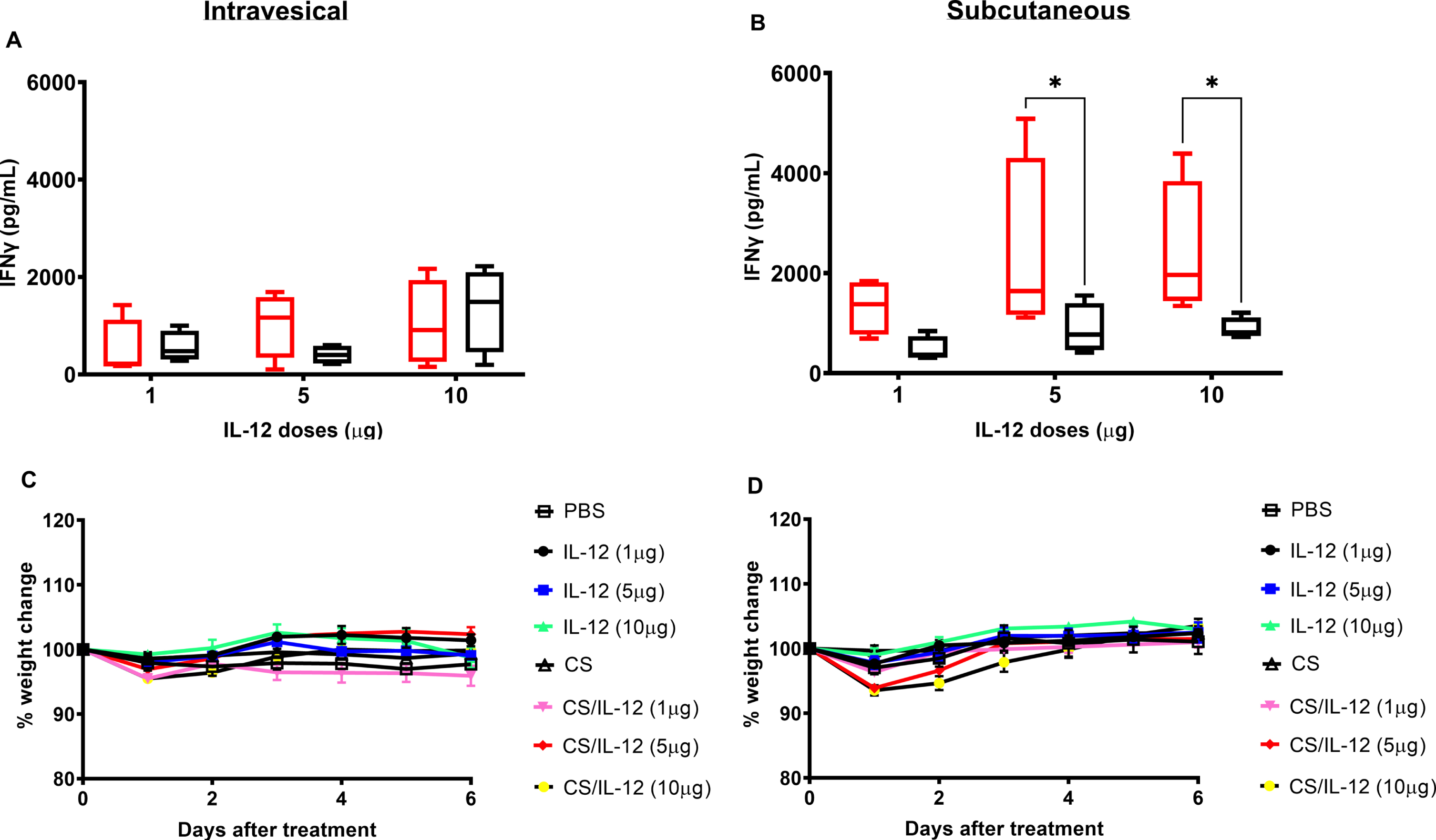 Dose escalations of intravesical IL-12 and chitosan are well-tolerated. Mice were treated intravesically or subcutaneously by multiple doses of IL-12 (1μg IL-12/mouse, 5μg IL-12/mouse, or 10μg IL-12/mouse) without or with the presence of 1%CS (red bars or black bars, respectively). Sera were obtained using facial vein bleeding at 24 h after administrations. The serum releases of IFN-γ in responses to intravesical or subcutaneous treatments of CS/IL-12 (A) and intravesical or subcutaneous treatments of IL-12 (B) were measured via ELISA. Asterisks indicate a significant difference of IFNγ levels in responses to IL-12 or CS/IL-12 treatments (*, p < 0.05 via two-way ANOVA). Mouse bodyweights in responding to intravesical treatments of IL-12 and CS/IL-12 (C) or subcutaneous treatments of IL-12 and CS/IL-12 (D) were monitored every day in a period of 6 days. Percent bodyweight changes were calculated based on the difference of bodyweight post-treatments and pre-treatments. Asterisks indicate a significant difference of bodyweight in responding to IL-12 or CS/IL-12 treatments (*, p < 0.05 via two-way ANOVA with Dunnett’s posttest). Experiments were performed in triplicate and repeated with similar results.