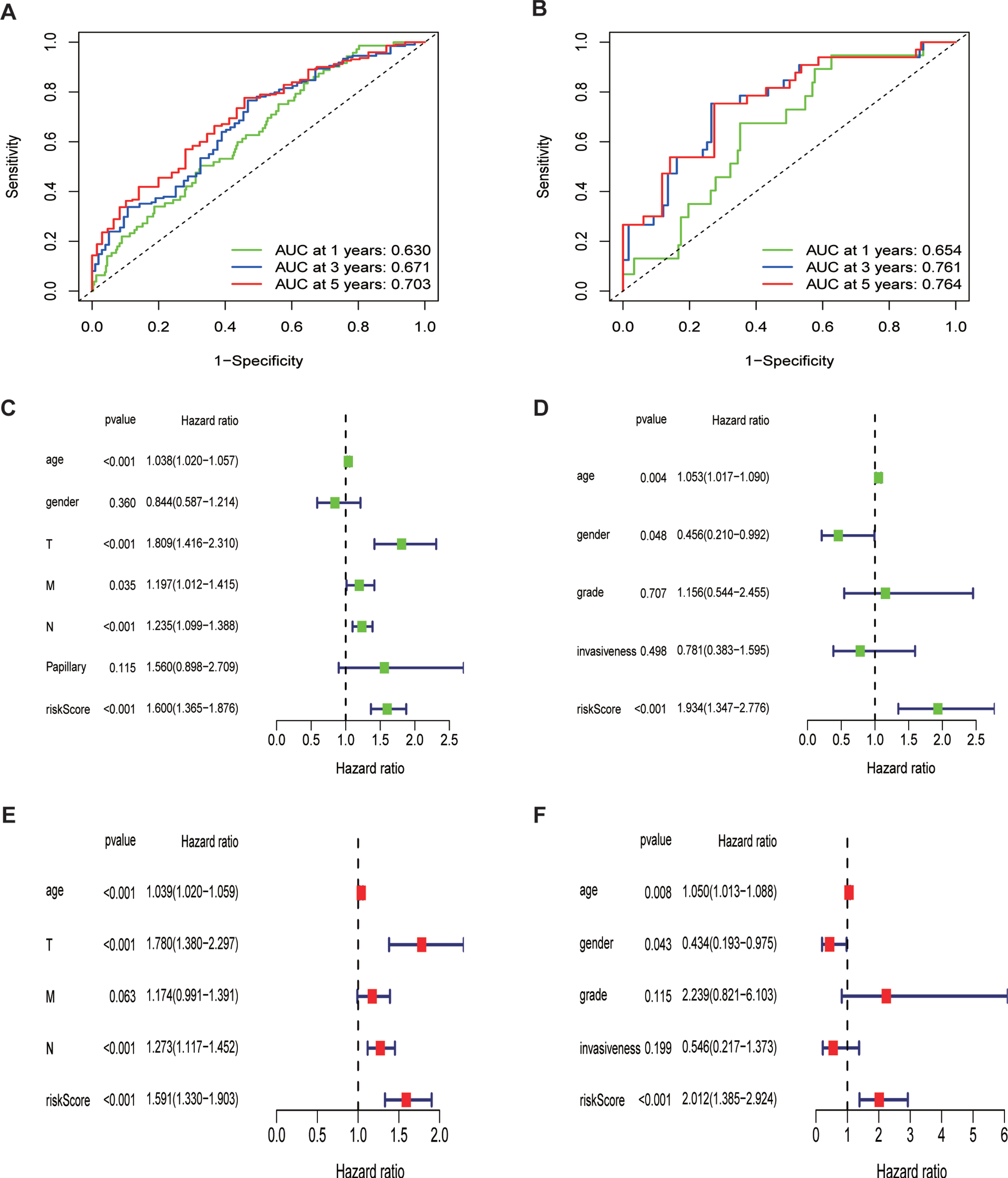 Prognostic value of the ferroptosis risk signature in BLCA.(A,B)ROC curves indicating the predictive efficiency of the ferroptosis risk signature on the 1-, 3-, and 5-years survival rate;(C-F)Univariate and multivariate Cox analyses evaluating the independent prognostic value of the ferroptosis signature in terms of OS in BLCA patients.