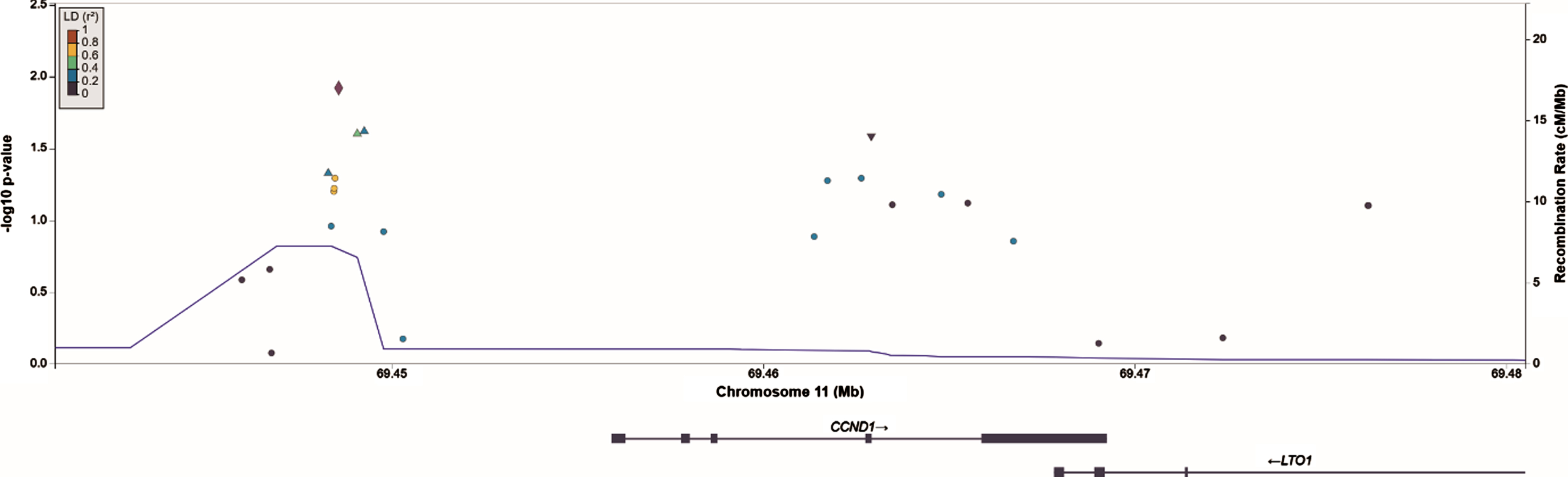 Regional association plot of SNPs in and nearby CCND1 constructed in LocusZoom. The SNP in CCND1 that shows the strongest association with NMIBC recurrences, rs655089, is marked by the purple diamond.