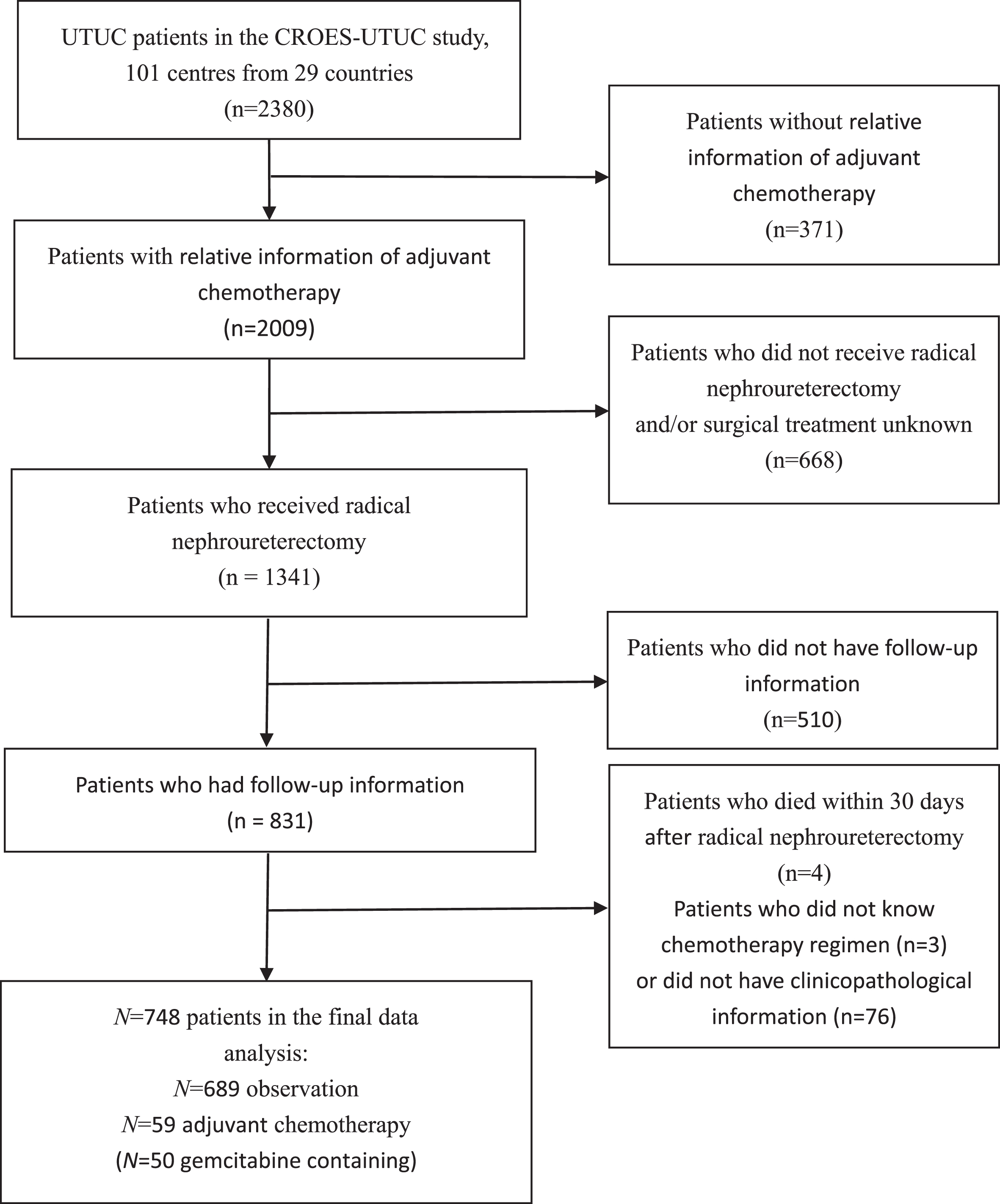 Flowchart describing the selection of patients who underwent adjuvant chemotherapy versus observation after radical nephroureterectomy for upper tract urothelial carcinoma.