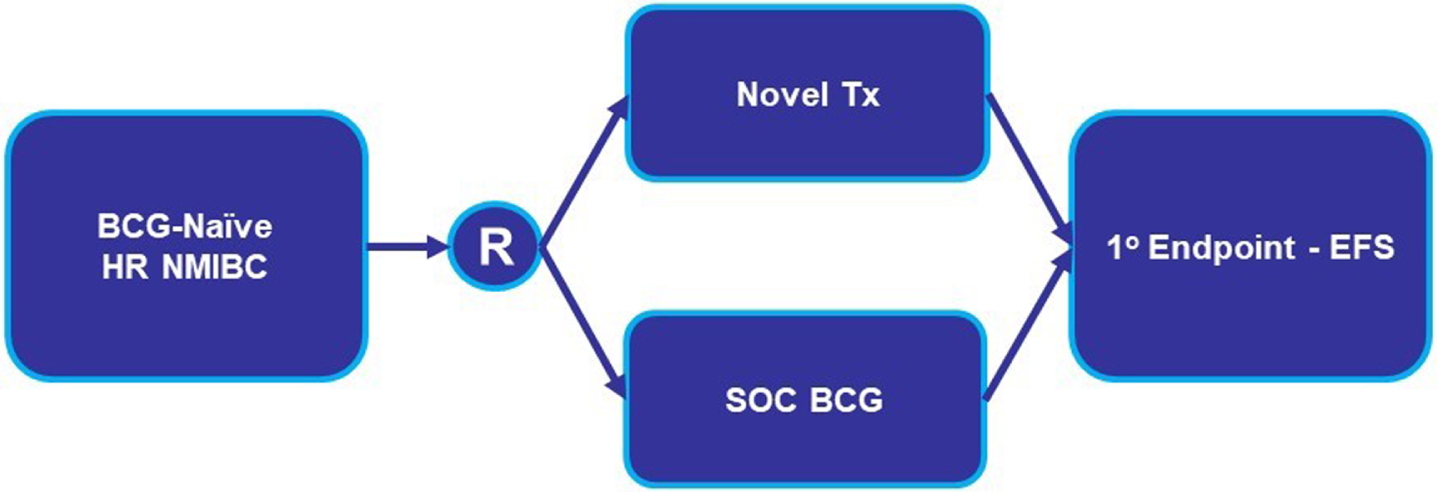 BCG-Naïve HR NMIBC Direct Comparison Clinical Trial Design. Abbreviations: BCG: Bacillus Calmette-Guerin; EFS: event-free survival; HR NMIBC: high-risk non-muscle invasive bladder cancer; R: randomize; SOC: standard of care; Tx: treatment.