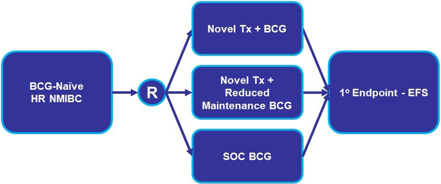 BCG-Naïve HR NMIBC Add-On Clinical Trial Design. Abbreviations: BCG: Bacillus Calmette-Guerin; EFS: event-free survival; HR NMIBC: high-risk non-muscle invasive bladder cancer; R: randomize; SOC: standard of care; Tx: treatment.
