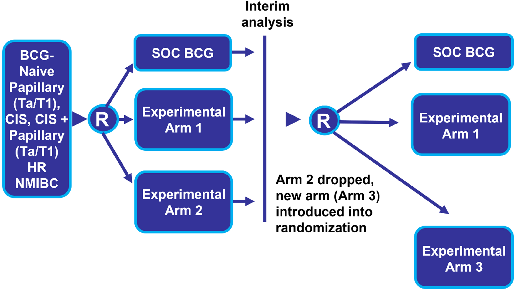 Randomized Platform Common Control Trial Design. Abbreviations: BCG: Bacillus Calmette-Guerin; CIS: carcinoma in situ; HR NMIBC: high-risk non-muscle invasive bladder cancer; R: randomize; SOC: standard of care; Tx: treatment.