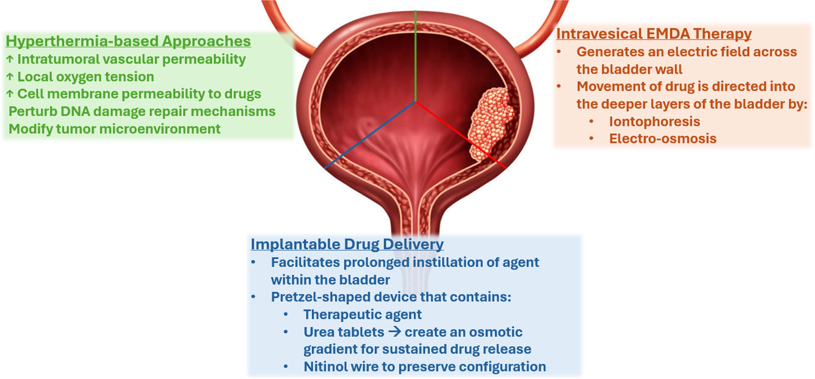 General mechanisms of action for devices used to administer intravesical therapies in non-muscle-invasive bladder cancer. Hyperthermia-based approaches induce regional changes at the molecular level and in the tissue microenvironment, intravesical electromotive drug administration (EMDA) devices induce electrokinetic changes that facilitate drug movement, and implantable drug delivery systems facilitate sustained drug release.