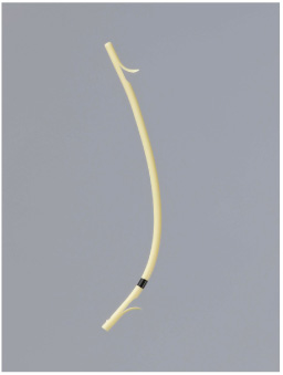 Biliary plastic stent (PS), straight type with double flaps (Advanix J®, Boston Scientific Japan, Tokyo). PS is easy to place, but the patency period is short because of the small diameter and biofilm formation.