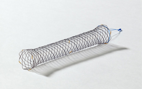 Biliary self-expandable metal stent (SEMS) with silicon cover (HANAROSTENT®, Boston Scientific Japan, Tokyo). SEMS has large diameter and long patency period, but the cost is high.