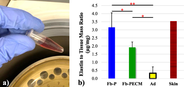 (a) Reddish-brown TPPS after release from 𝛼-elastin pellet. (b) Normalized elastin-to-tissue mass ratio of the two Fb groups, Ad, and a skin control. Pairwise significance: *p < 0.05 and **p < 0.01, importantly: Fb-P  > Fb-PECM.