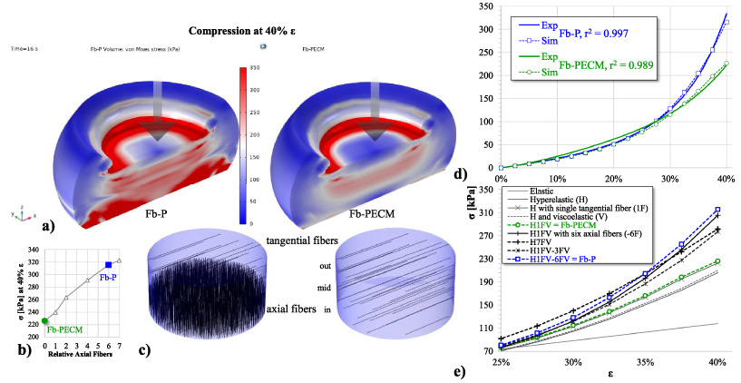 (a) Graphical 3D of von Mises stress and deformation of Fb compression simulation at 40% 𝜀. (b) Compressive stress (𝜎) vs. axial fiber amount, indicating 0 for Fb-PECM and 6 for Fb-P. (c) Locations and directions of fibers in Fb domains. (d) Nonlinear scatterplot of 𝜎 vs. 𝜀, displaying good agreement between Fb experimental (Exp) and simulation (Sim) values. (e) 𝜎 vs. 𝜀 Sim curves of various material models.