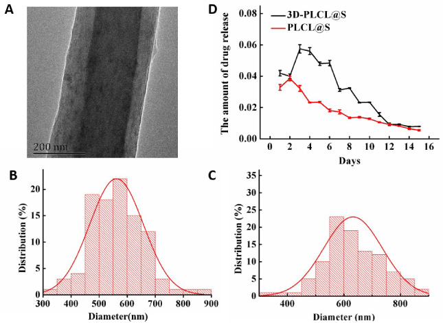 Characteristic of PLCL aerogel scaffold with simvastatin. A: The morphology of the coaxial fiber with the inner PLCL and outer gelatin in TEM. B–C: The diameter distribution of the PLCL coaxial fiber without (B mean diameter 561 ± 95 nm) and with simvastatin (C mean diameter 631 ± 103 nm). D: The simvastatin-releasing curves of PLCL@S group (red curve) and 3D-PLCL@S group (black curve).