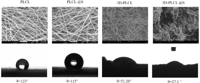 The microstructures and contact angle of PLCL aerogel scaffold with simvastatin. The upper photos show the microstructure of 4 scaffolds (PLCL, 3D-PLCL, PLCL@S, 3D-PLCL@S) in SEM. The left two photos. The photos below display the contact angle (𝜃) of 4 scaffolds.