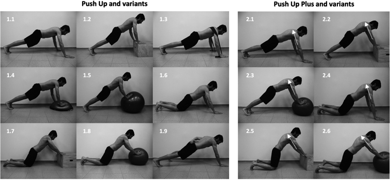 Description of Push Up, Push Up Plus, and its variants. For the detailed description of each exercise, see “Summary of Activation Ratios and Exercises” in the “Evidence Synthesis” section. (1.1) Push Up; (1.2) Half Push Up; (1.3) Resisted Push Up; (1.4) Unstable Push Up; (1.5) Unstable Half Push Up; (1.6) Knee Push Up; (1.7) Half Knee Push Up; (1.8) Unstable Knee Push Up; (1.9) One Hand Push Up; (2.1) Push Up Plus; (2.2) Half Push Up Plus; (2.3) Unstable Push Up Plus; (2.4) Knee Push Up Plus; (2.5) Half Knee Push Up Plus; (2.6) Unstable Knee Push Up Plus.