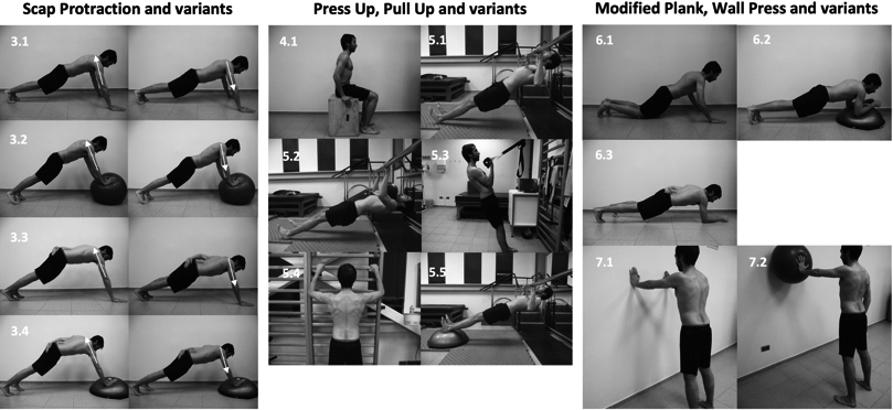 Description of Scap Protraction, Press Up, Pull Up, Modified Plank, Wall Press, and its variants. For the detailed description of each exercise, see “Summary of Activation Ratios and Exercises” in the “Evidence Synthesis” section. (3.1) Scap Protraction; (3.2) Unstable Scap Protraction; (3.3) One Hand Scap Protraction; (3.4) Unstable One Hand Scap Protraction; (4.1) Press Up; (5.1) Supine Pull Up; (5.2) Resisted Supine Pull Up; (5.3) Half Pull Up; (5.4) Isometric Pull Up; (5.5) Unstable Supine Pull Up; (6.1) Modified Plank; (6.2) Unstable Plank; (6.3) One Hand Plank; (7.1) Wall Press; (7.2) Unstable One Hand Wall Press.