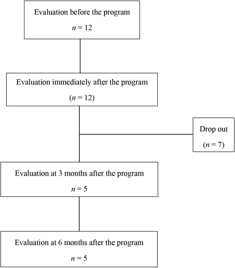 Flowchart of patient dropout. Data regarding these 12 patients were analyzed before and immediately after the inpatient multidisciplinary pain management program. Five patients (continuation group) were also assessed at 3 and 6 months after the program. The remaining seven patients (dropout group) could not be assessed after the program. 
