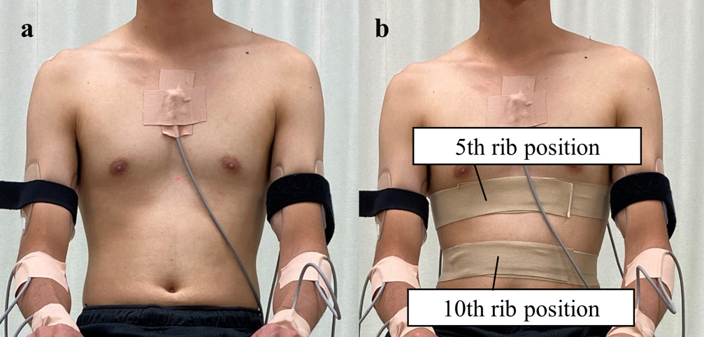 (a) Without restriction, (b) With restriction. One round of non-elastic tape was applied to the thorax in the maximal expiratory state without applying tension. In addition, an elastic was applied over the non-stretch tape in the same manner for reinforcement. The tape was applied at the 5th and 10th rib positions. 