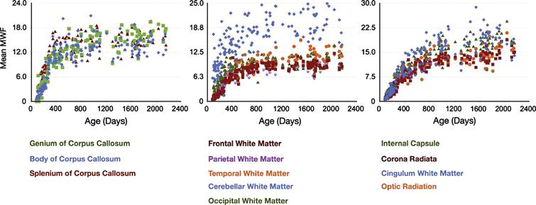 Gender-combined myelination trajectories for each white matter region and pathway spanning 83 through 2040 days of age. Points represent the mean values with error bars corresponding to the measurement standard deviation (Fig. 6, Deoni SC, Dean DC, 3rd, O’Muircheartaigh J, Dirks H, Jerskey BA. Investigating white matter development in infancy and early childhood using myelin water faction and relaxation time mapping. Neuroimage. 2012;63(3):1038-53).