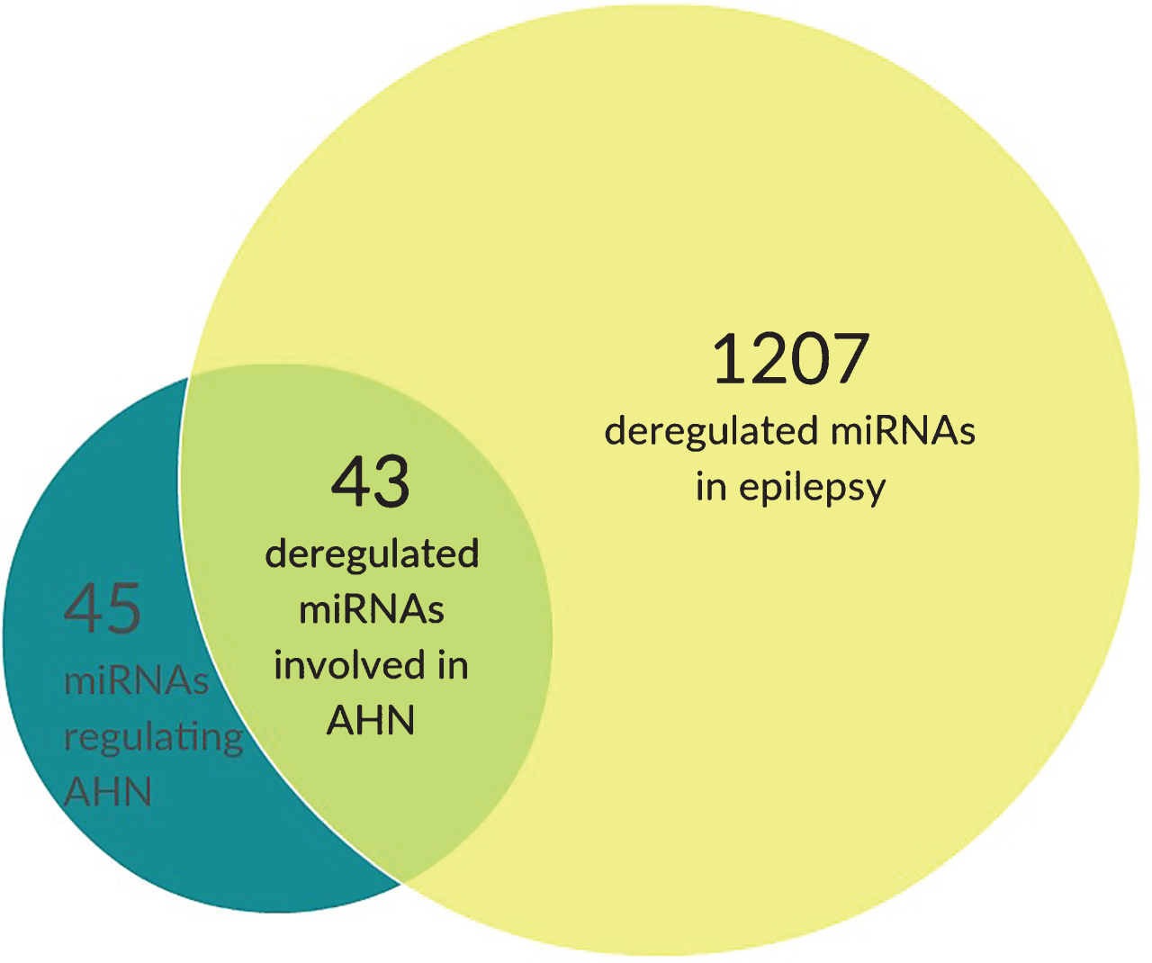 AHN-regulating miRNAs are severely deregulated in epilepsy. We have identified 45 miRNAs that are established regulators of AHN (dark green). Using the EpimiRbase, which lists a total of 1207 deregulated miRNAs in epilepsy (yellow), we identified a total of 43 out of 45 AHN-regulating miRNAs to be deregulated in epilepsy (light green).
