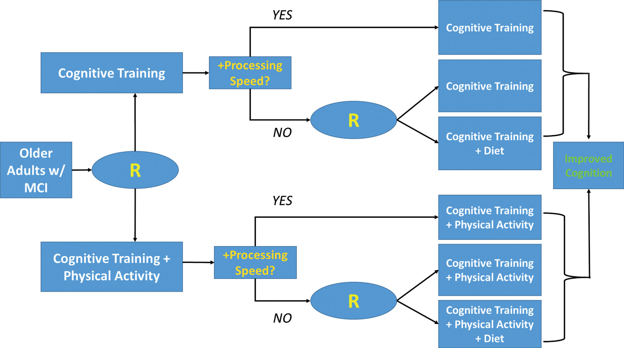 Example of a SMART-based design among older adults with mild cognitive impairment (MCI). In this example, participants are initially randomized to either cognitive training or a combined cognitive and physical activity program, that may augment neuroplasticity. The tailoring variable used to determine secondary randomization is improvements on a brief measure of processing speed, which has been associated with intervention responsivity in other trial settings. Secondary randomization among non-responders introduces an additional treatment augmenting metabolic and inflammatory function, dietary modification, in order to determine if some individuals are able to achieve improved cognitive outcomes with additional treatment.