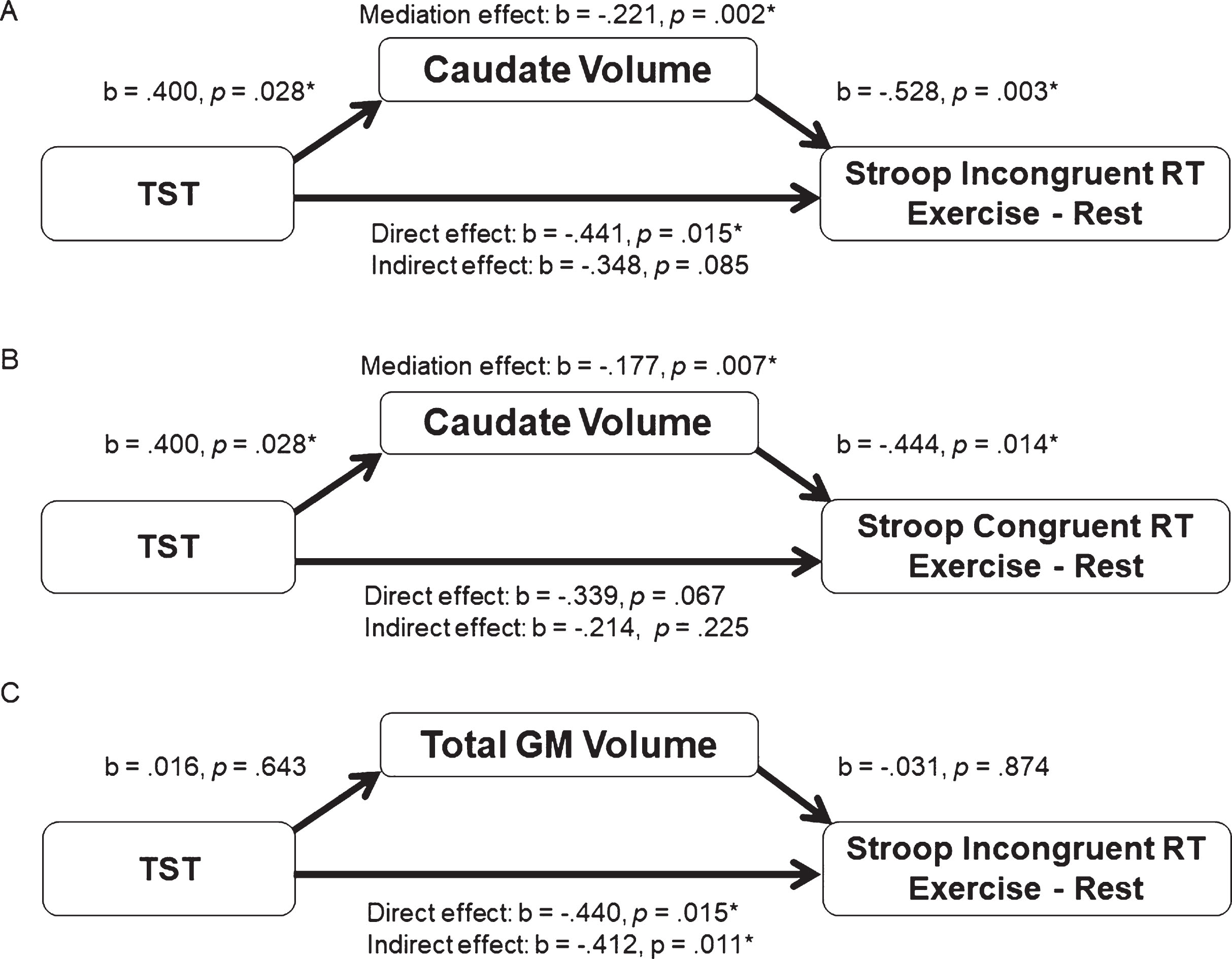 (A) represents the indirect mediating pathway between TST and exercise-altered Stroop incongruent RT through the bilateral caudate volume. Mediation analysis of the relationship between TST and exercise-altered Stroop congruent RT with the bilateral caudate volume as a mediator is presented in (B). Mediation analysis of the relationship between TST and exercise-altered Stroop incongruent RT with the total gray matter as a mediator is illustrated in (C).