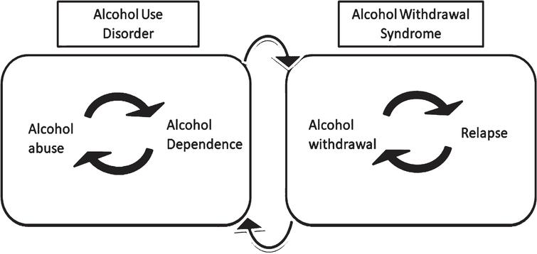 Two major aspects of alcohol addiction: abuse and withdrawal. Alcohol use disorder or AUD is mainly comprised of alcohol exposure and dependence. Allostatic changes in the brain lead to alcohol tolerance, which bridges repeated cycles of alcohol abuse and dependence. On the other hand, stopping alcohol intake can cause alcohol withdrawal syndrome. Alcohol’s effect to alleviate alcohol withdrawal syndrome leads to a relapse. Repeated cycles of alcohol withdrawal and relapse can repeatedly induce a state of alcohol dependence.