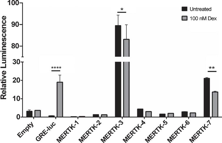MERTK promoter activity is not enhanced following treatment with dexamethasone. Functional activity of MERTK promoter constructs was assessed via luciferase reporter activity following treatment with 100 nM dexamethasone. Each construct was co-transfected with a pCMV6-Xl5 vector encoding the full-length human cDNA for the glucocorticoid receptor NR3C1. The commercially available Pathdetect GRE-luc was used as a positive control for dexamethasone response. Relative Luminescence represents ratio of firefly luciferase activity to the co-transfected renilla luciferase control. Data are representative of one independent experiment and are expressed as means±SD. Data were analysed by a one-way ANOVA with post-hoc comparisons between treated and untreated constructs. *p < 0.05, **p < 0.01, ***p < 0.001, ****p < 0.0001.