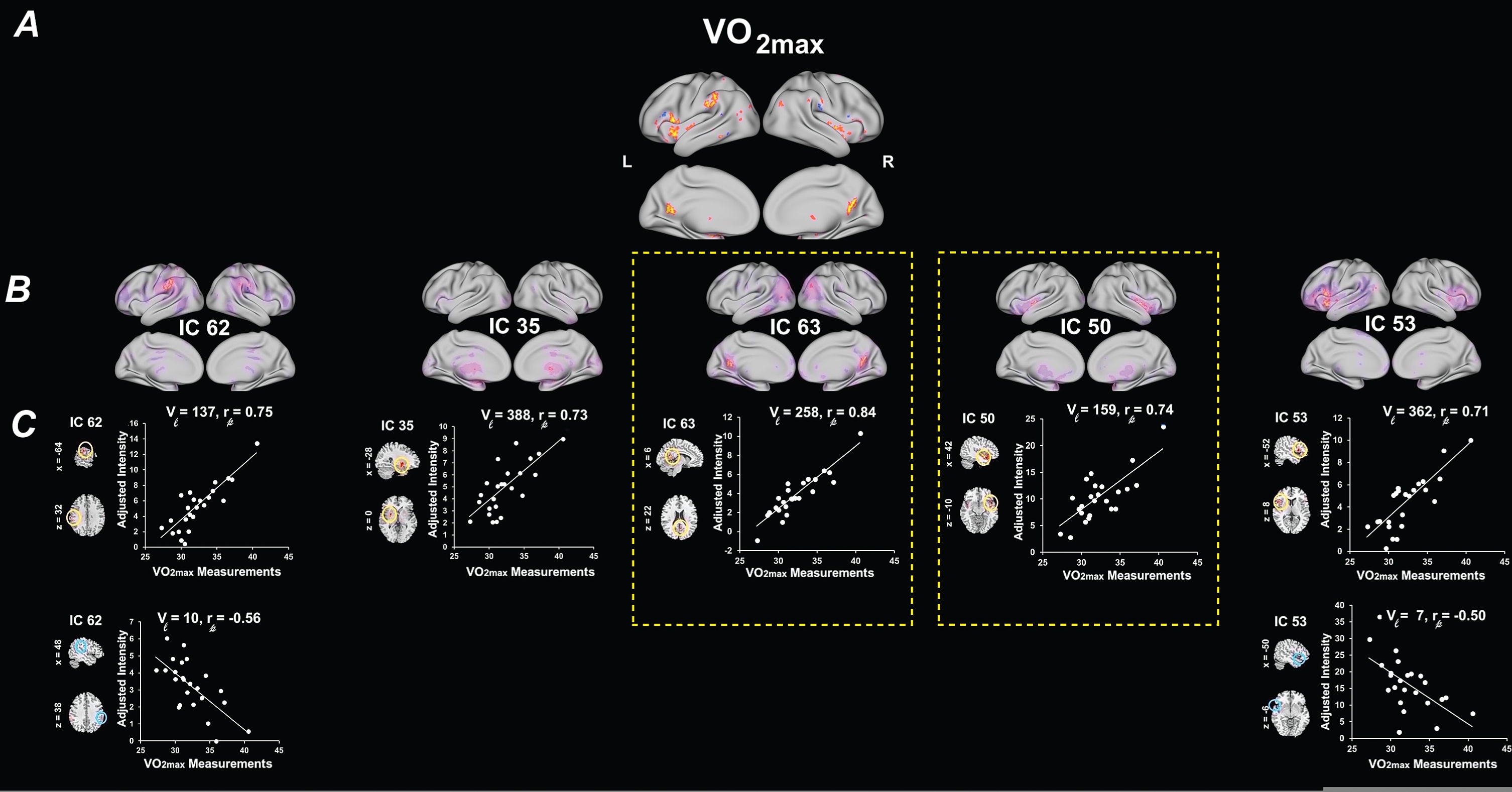 Univariate results summarizing the effects of estimated VO2max on RSN spatial map intensities. (A) 3D brain map depicting the composite renderings of significant effects of estimated VO2max over all RSNs are displayed as the –sign(t)log10(p) (p < 0.05, uncorrected). (B) Significant effects of estimated VO2max are shown in individual RSNs overlaid on their corresponding RSN template (purple) and displayed as the –sign(t)log10(p) (p < 0.05, uncorrected). (C) Scatter plots show the estimated VO2max effects for the largest significant cluster in each affected RSN (indicated by yellow or blue circles on the RSN maps shown in representative orthogonal slices with corresponding MNI coordinates) with the number of contributing voxels (Vl), and the partial correlation coefficient (rp). RSNs of significance are highlighted by yellow boxes with dashed lines. See Table 3 for the associated statistics, anatomical extent, the t-value of the maxima, and corresponding MNI coordinates for the largest significant clusters. Estimated VO2max, maximal oxygen uptake.; SMN, sensorimotor networks; SCN, subcortical networks; DMN, default-mode networks; CAN, cognitive and attention networks; L, left; R, right.