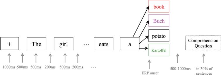 ERP experiment design. Each target word (e.g. book) appeared in at least four different sentences and conditions in order to avoid prediction effects. ERPs were recorded from the onset of the target word. The colors used for target words are the same as in Fig. 6: red = no-switching incongruent, pink = switching incongruent, black = no-switching congruent, green = switching congruent.