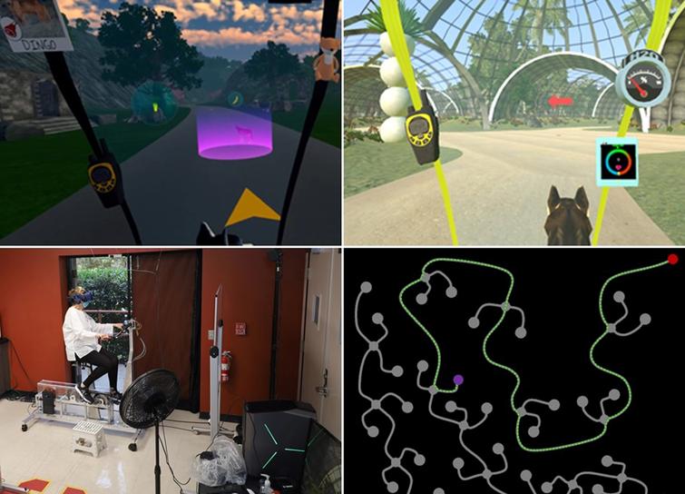 Cognitively challenging gameplay and immersive storylines in VR. (top left) Rescue an animal that has escaped the sanctuary; (top right) Strategic landmarks placed at each intersection and guiding arrow for learning route; (bottom left) Participant cycling on stationary exercise to navigate VR environment; (bottom right) Top-down view of road network. Green dots denote participant’s path, red dot indicates starting point, and purple dot indicates destination.