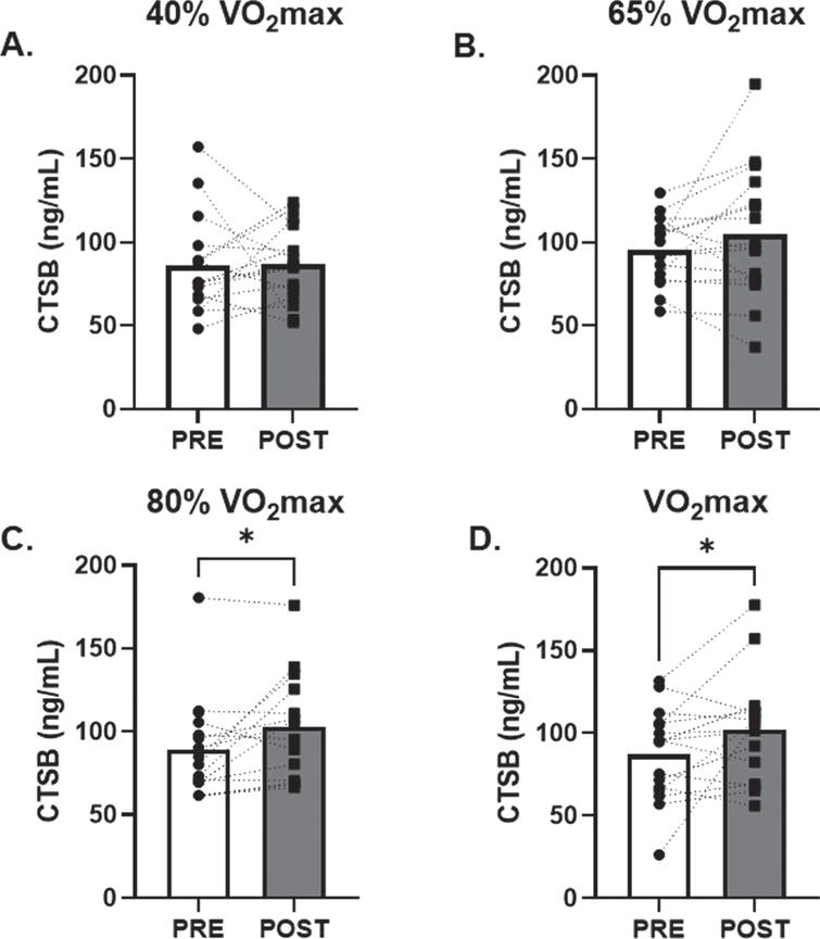 Effects of Acute Aerobic Exercise Intensity on Circulating CTSB. Circulating CTSB before and 30-minutes post AE A) 40% of VO2max, B) 65% of VO2max, C) 80% of VO2max and D) at VO2max. n = 15 (9M/6F) 80% VO2max, n = 16 (10M/6F) all other timepoints. All data are represented as mean±SEM. *p < 0.05 vs PRE.
