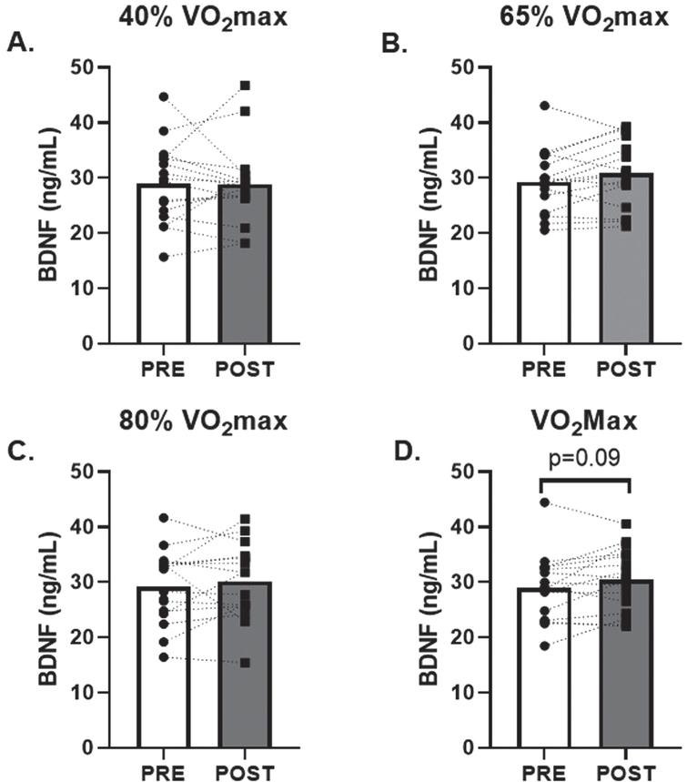 Effects of Acute Aerobic Exercise Intensity on Circulating BDNF. Circulating BDNF before and 30-minutes post AE A) 40% of VO2max, B) 65% of VO2max, C) 80% of VO2max and D) at VO2max. n = 15 (9M/6F) 80% VO2max, n = 16 (10M/6F) all other timepoints. All data are represented as mean±SEM.