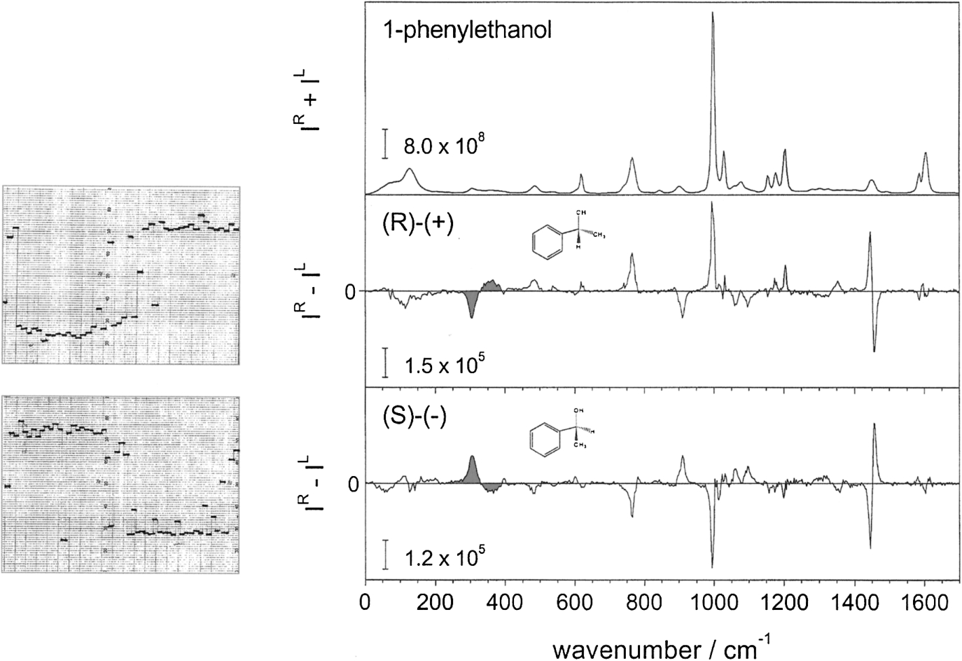 The original 1972 ICP ROA chart recorder traces in the spectral region ∼290–400 cm−1 for the two enantiomers of 1-phenylethanol (left), compared with ICP spectra recorded on a multichannel instrument in 2003 (right) in which the same couplets (shaded) as in the original report are reproduced.