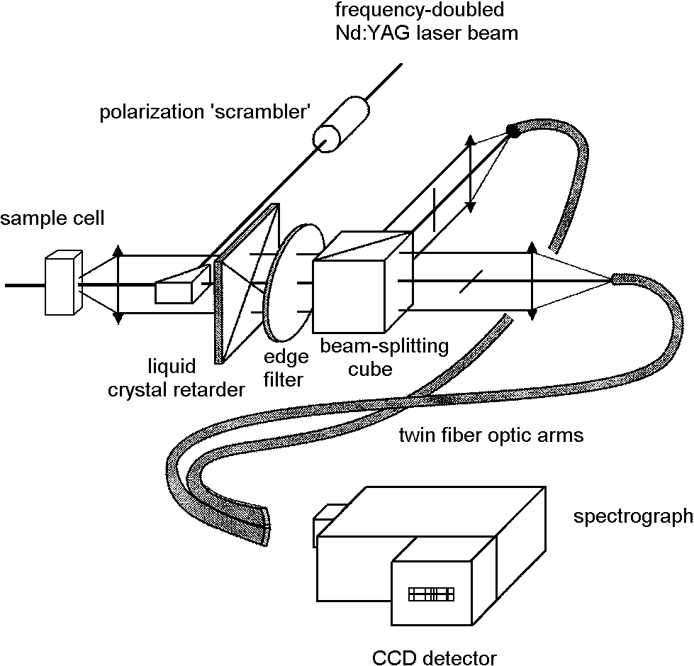 Simplified optical design of the BioTools ChiralRAMAN backscattering SCP ROA instrument. The lenses are represented by double-headed arrows. Adapted from [61].