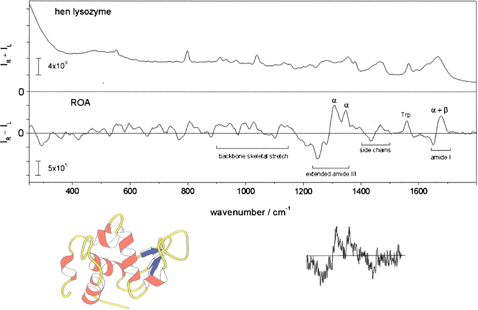 The backscattered Raman and ROA spectra of hen lysozyme in aqueous solution measured on a modern SCP instrument, together with our first protein ROA spectrum recorded with an ICP instrument in 1990 in the ∼1200–1450 cm−1 range taken from [19]. (Colors are visible in the online version of the article; http://dx.doi.org/10.3233/BSI-150113.)