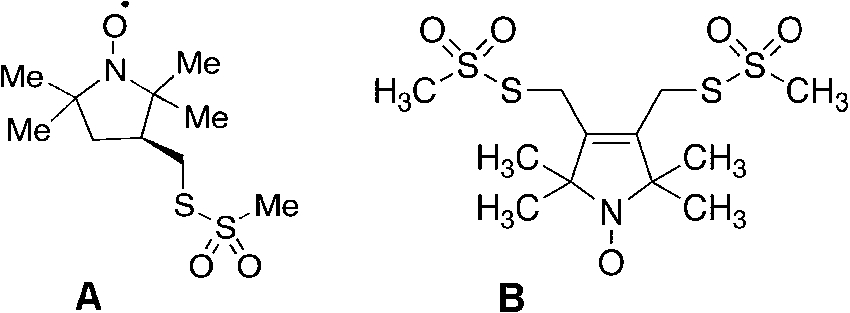 (A) MTSSL (2,5-dihydro-3,4-bis(methanesulfonylthiomethyl)-2,2,5,5-tetramethyl-1H-pyrrol-1-yloxyl radical) and (B) bis-MTSL (trans-3,4-bis(methanesulfonylthiomethyl)-2,2,5,5-tetramethylpyrrolidin-1-yloxyl radical) spin labels, commercially available from Toronto Research Chemicals, 2 Brisbane Rd., Toronto, Ontario, Canada M3J 2J8.
