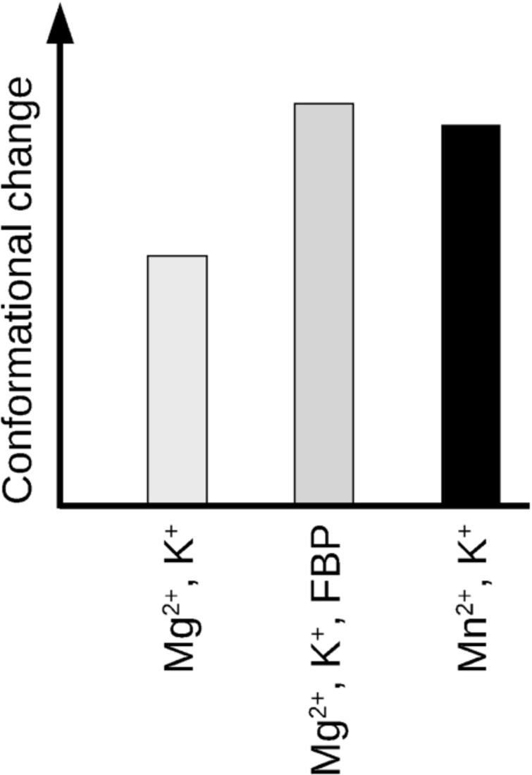 The extent of conformational change upon phosphenolpyruvate binding to pyruvate kinase [44]. The difference in absorbance values of the positive band at 1696 and the negative band at 1678 cm−1 was used as a measure of conformational change. The ions in the active site of pyruvate kinase are indicated. FBP stands for fructose 1,6-bisphosphate.