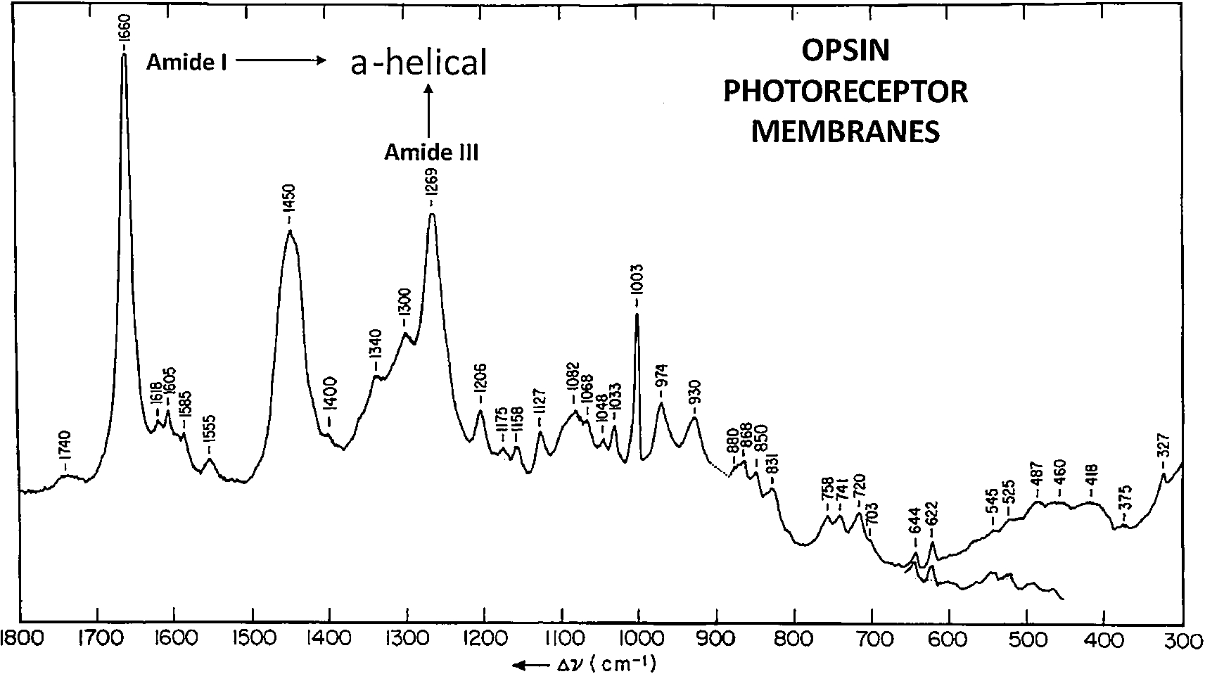 Raman spectrum of calf opsin photoreceptor membrane (adapted from Ref. [193]).