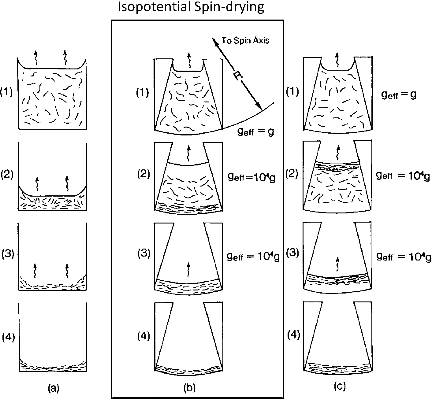 Comparison of different methods of orienting membrane sheets including: (a) drying without centrifugation, (b) isopotential spin-drying (ISD) where both drying and centrifugation occur and (c) example of ISD where biological membrane fragments are less dense than the suspending medium (adapted from [57]).