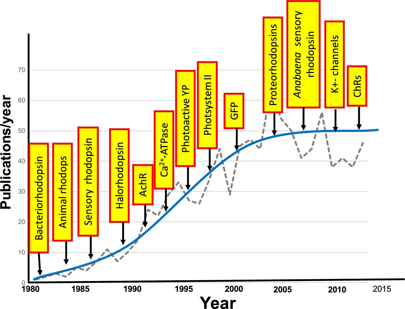 Growth in application of FTIR difference spectroscopy to study membrane proteins and other photoactive proteins or proteins that can be photoactivated. Graph shows the approximate number of publications/year. Yellow boxes indicate the approximate time that FTIR difference spectroscopy was first applied for the particular protein.