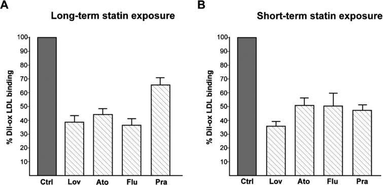 (A) Effect of long-term exposure of statins on LOX-1-mediated ox-LDL binding. COS cells transiently transfected with human recombinant LOX-1 were treated or not (Ctrl) with 2 µM of different statins (as indicated) for 24 hours. (B) Effect of short exposure of statins on LOX-1-mediated ox-LDL binding. COS cells transiently transfected with human recombinant LOX-1 were incubated with 10 µg DiI-ox-LDL at 4°C for 60 min in the absence (Ctrl) or in the presence of 2 µM of different statins as indicated. Histograms show quantification of DiI-ox-LDL binding measuring fluorescence by spectrofluorometer. The data represent the mean ± standard deviation calculated from 4 separate experiments.