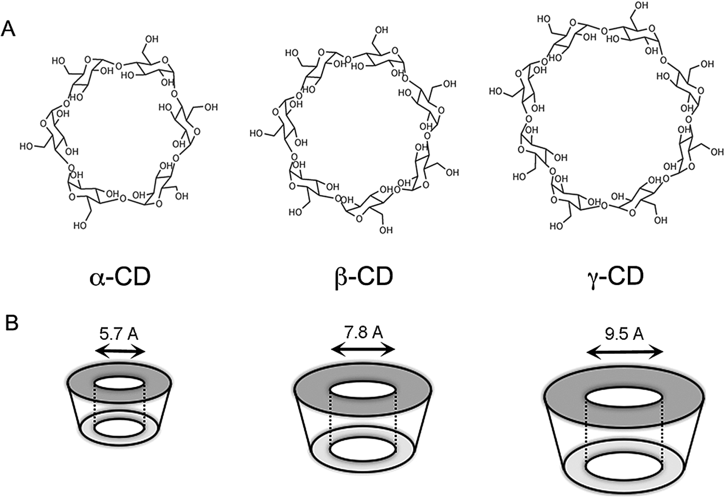 (A) Chemical structures of the three different types of cyclodextrin, alpha (α) – containing 6 glucopyranose units, beta (β) – containing 7 glucopyranose units and gamma (γ) – containing 8 glucopyranose units. (B) Representative images of the rings formed by the three different cycodextrins and the respective size of their pockets.